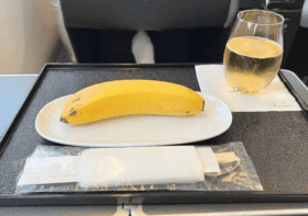 Airline Meal Saga: A Banana for Business Class Passenger